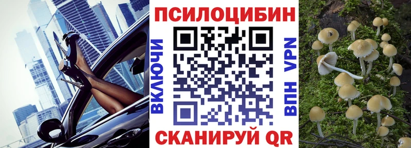 Псилоцибиновые грибы Psilocybe  магазин продажи наркотиков  Чистополь 